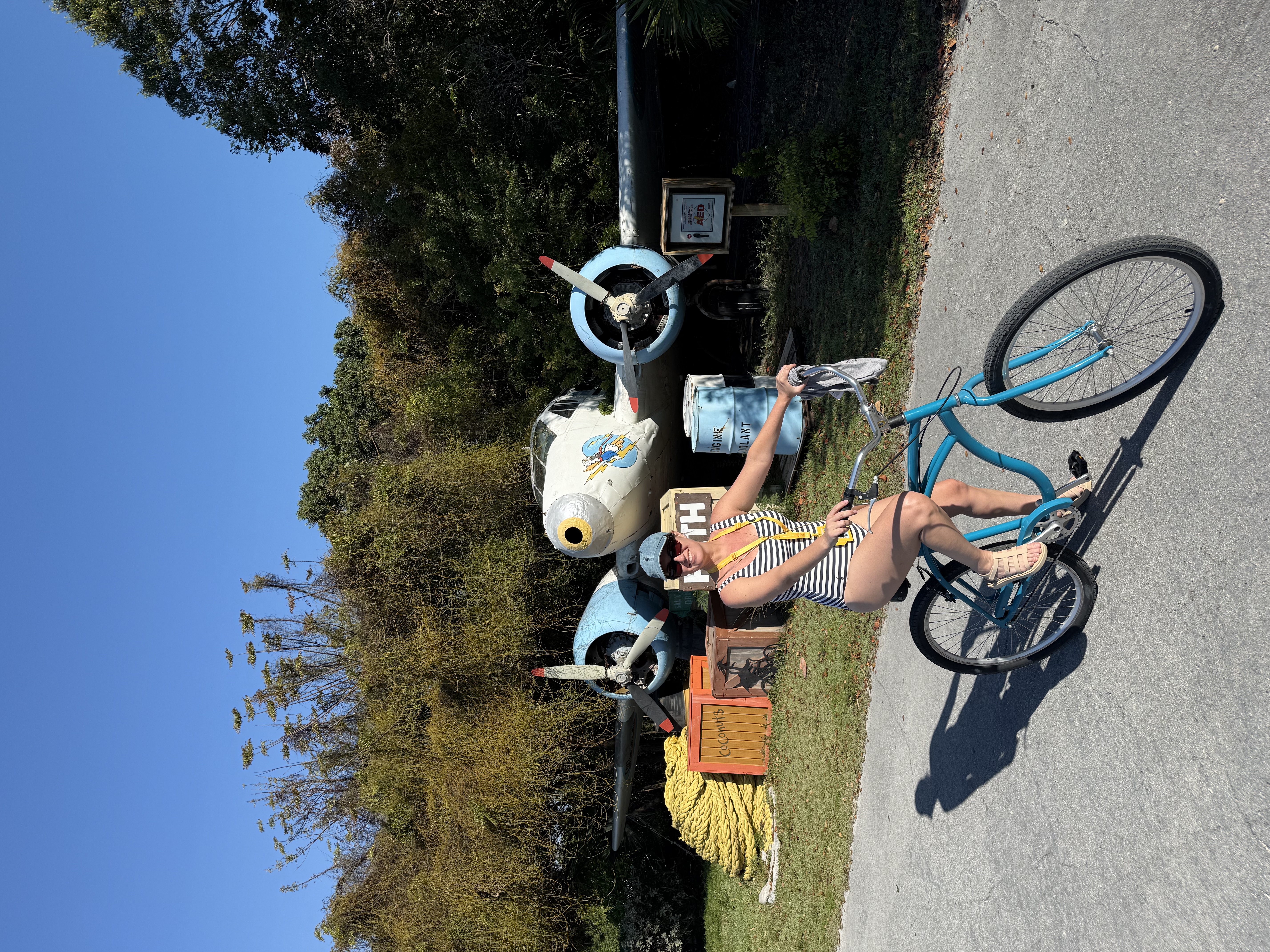 aluguel bicicleta ilha disney