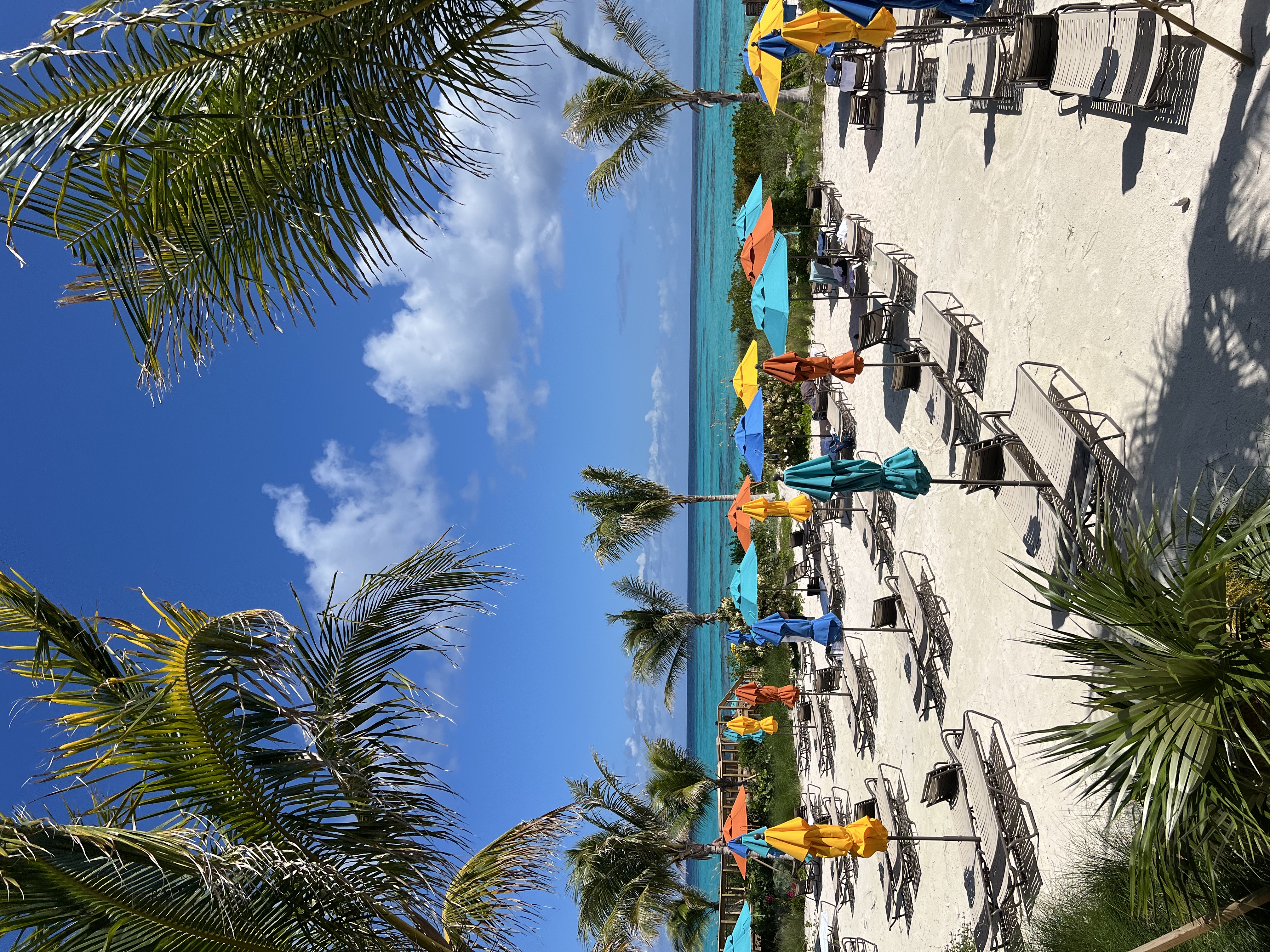lookout cay disney