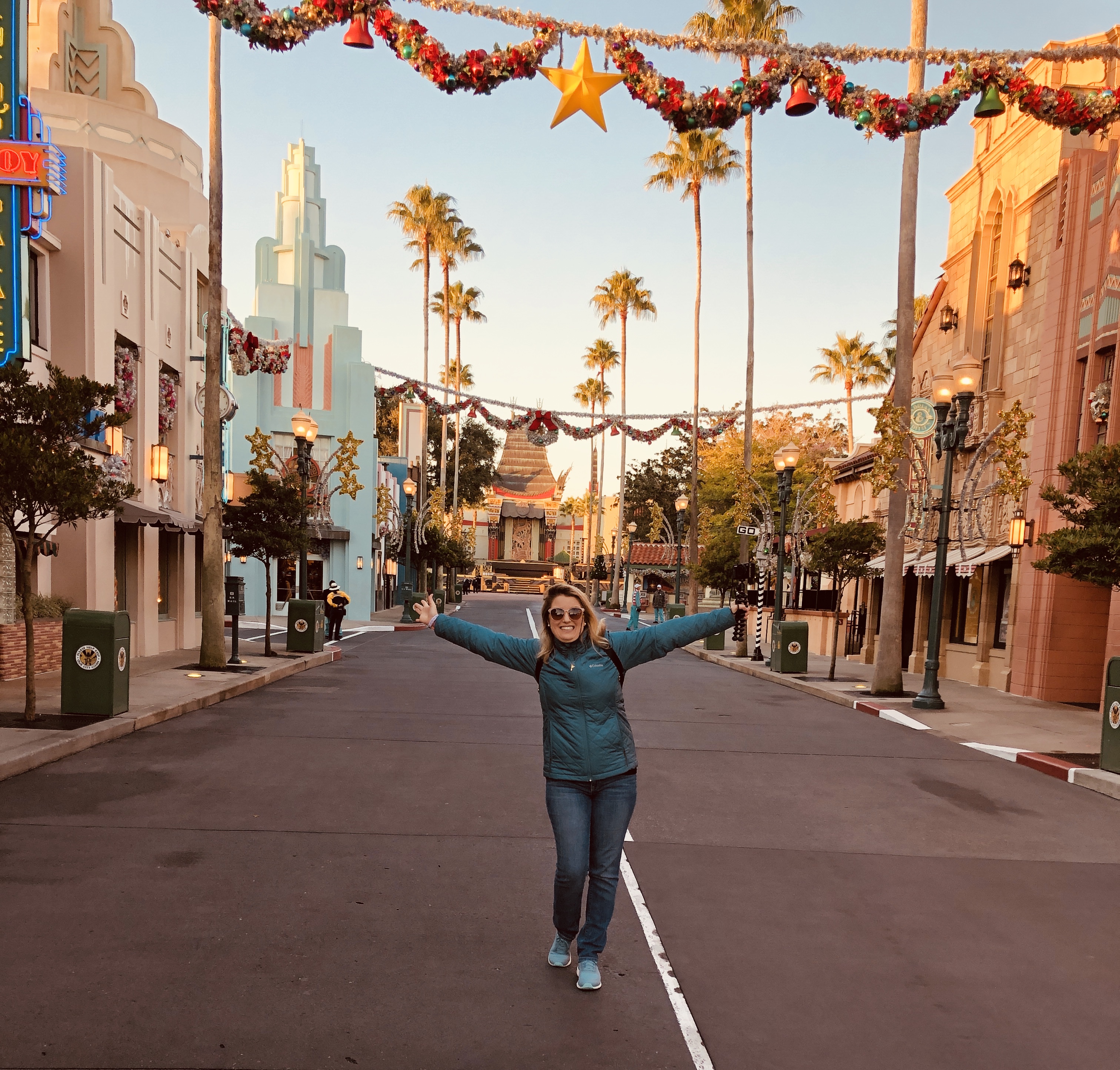 rock n roller coaster