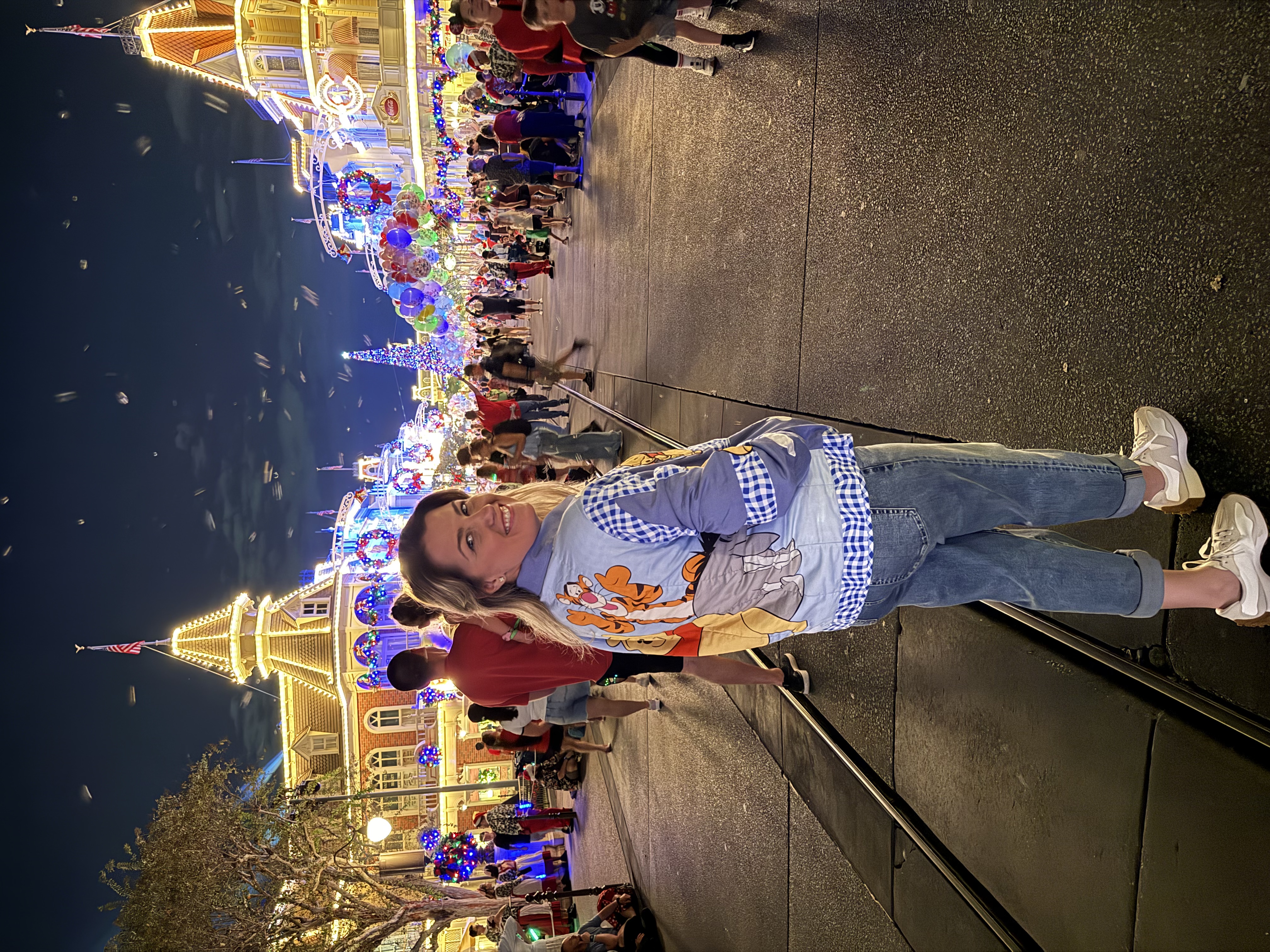 funcionamento natal disney