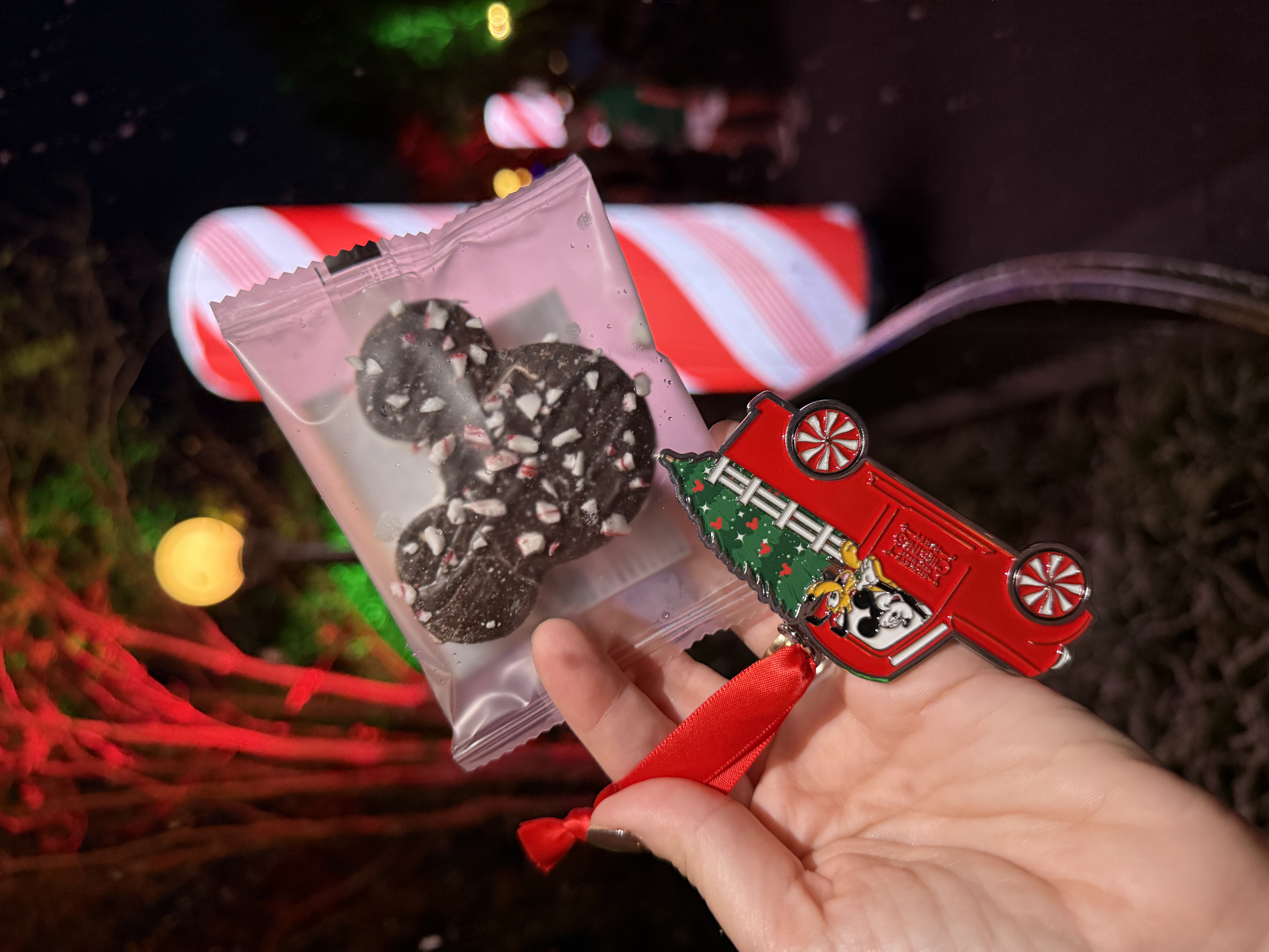 mickeys very merry christmas party