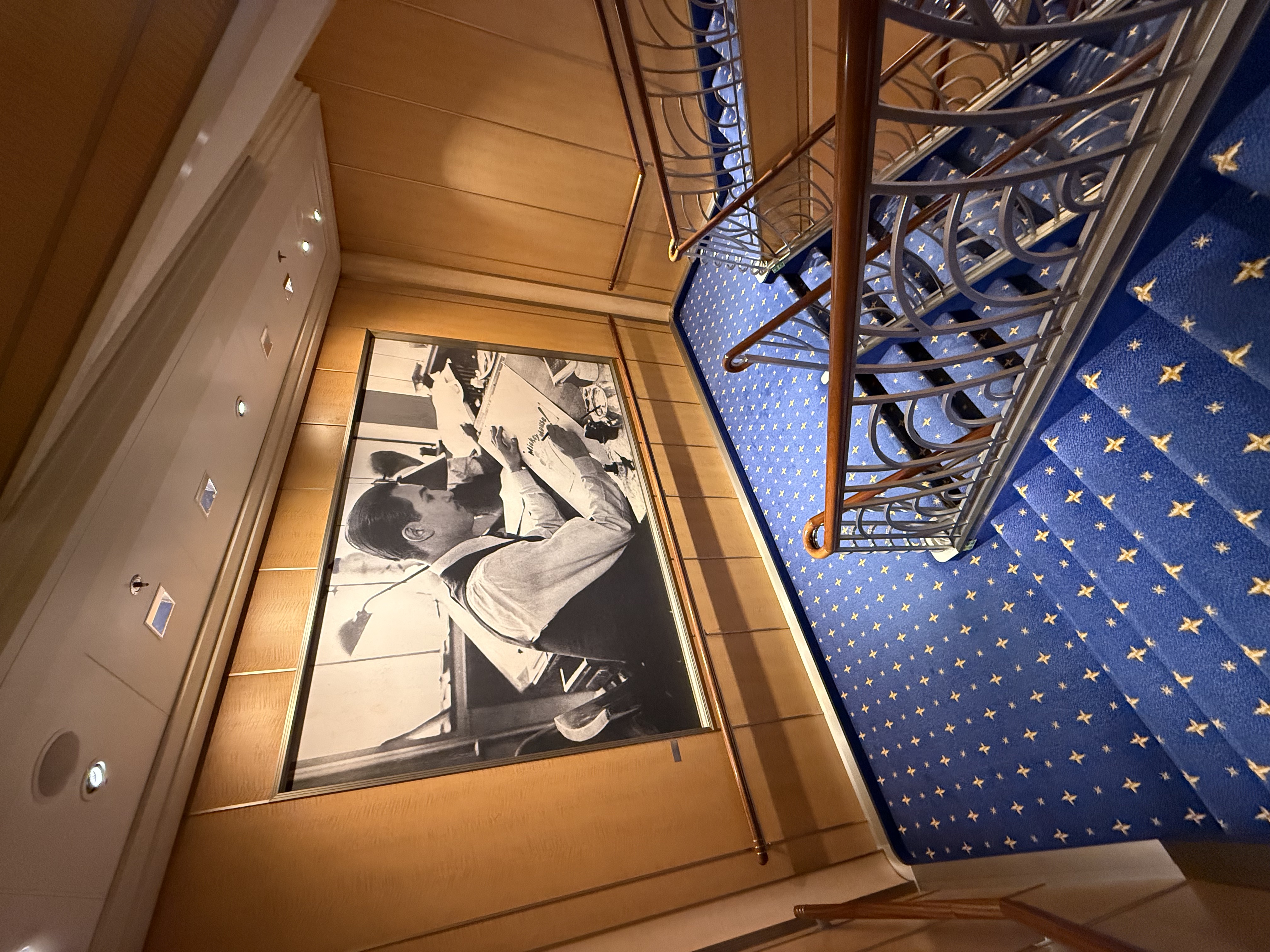decoracao disney fantasy
