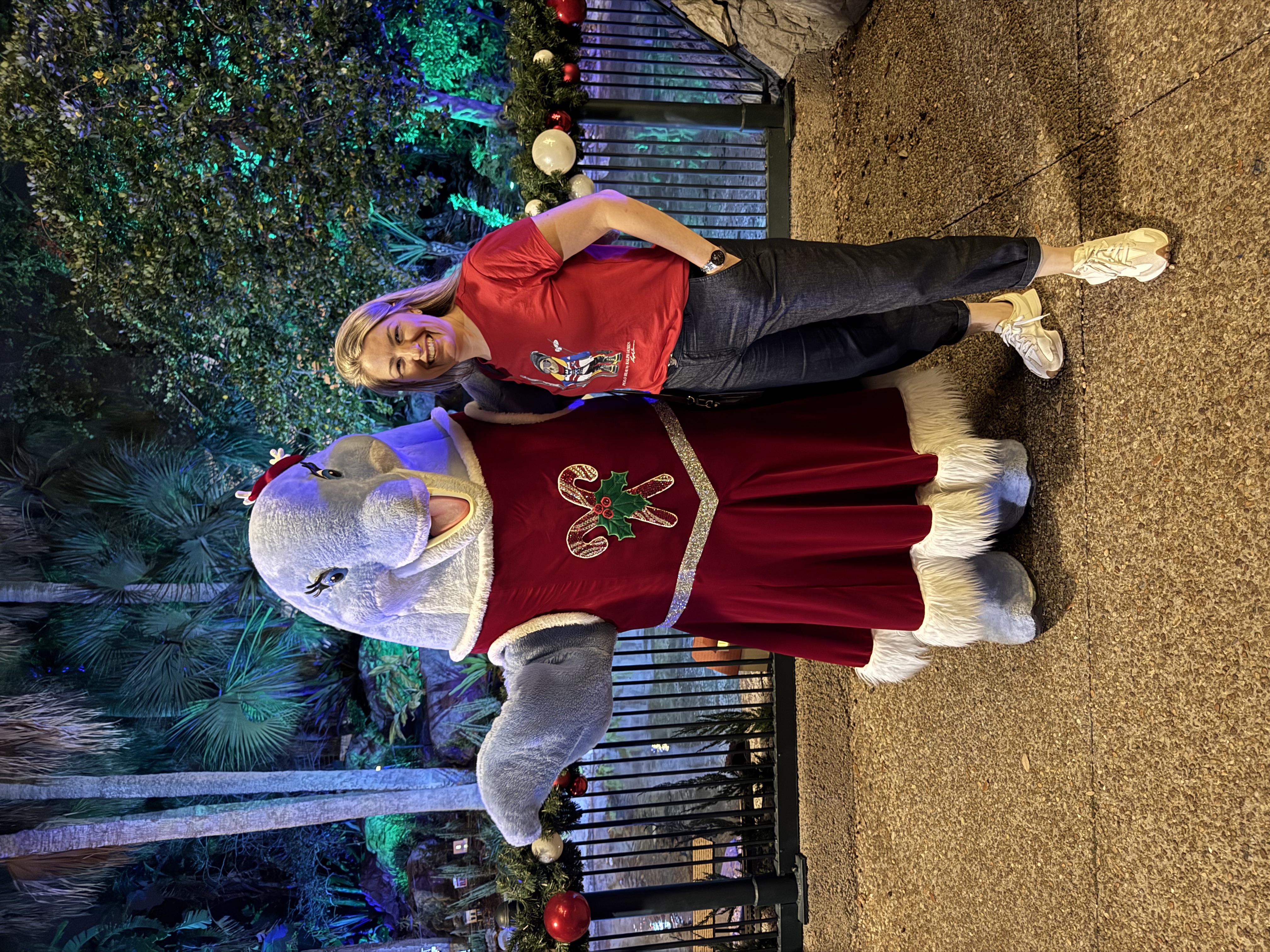 sea world christmas celebration