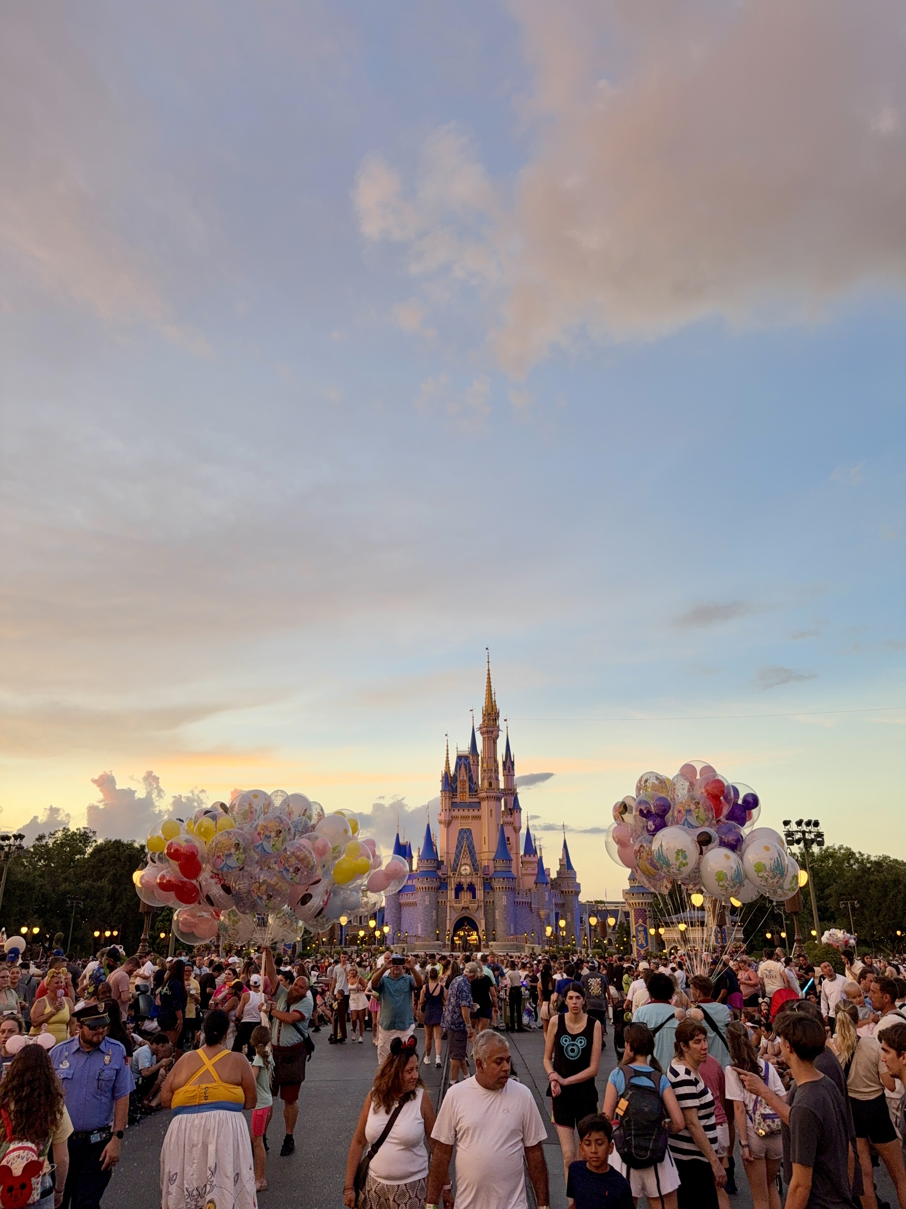 dicas magic kingdom