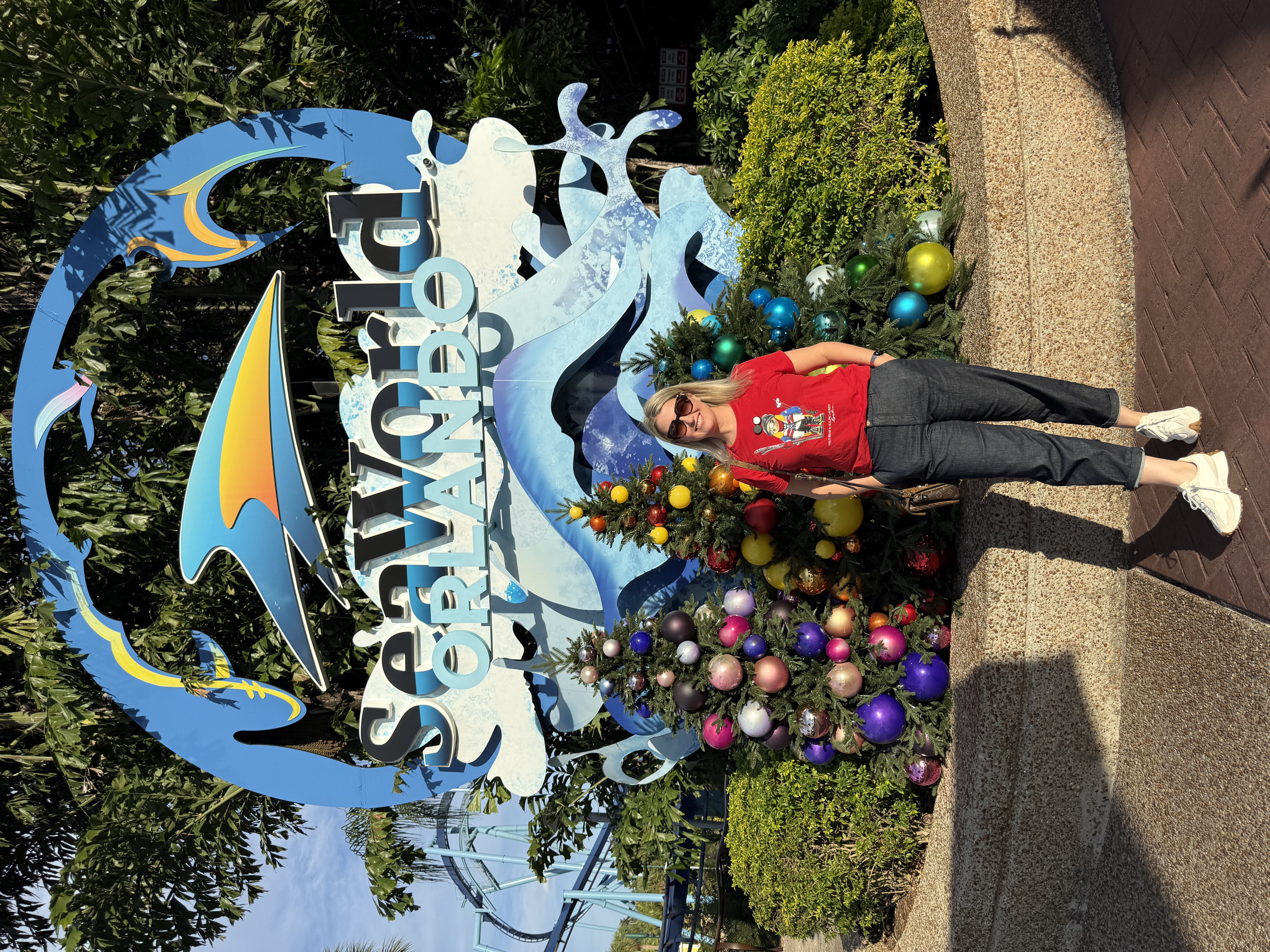 festa natal sea world