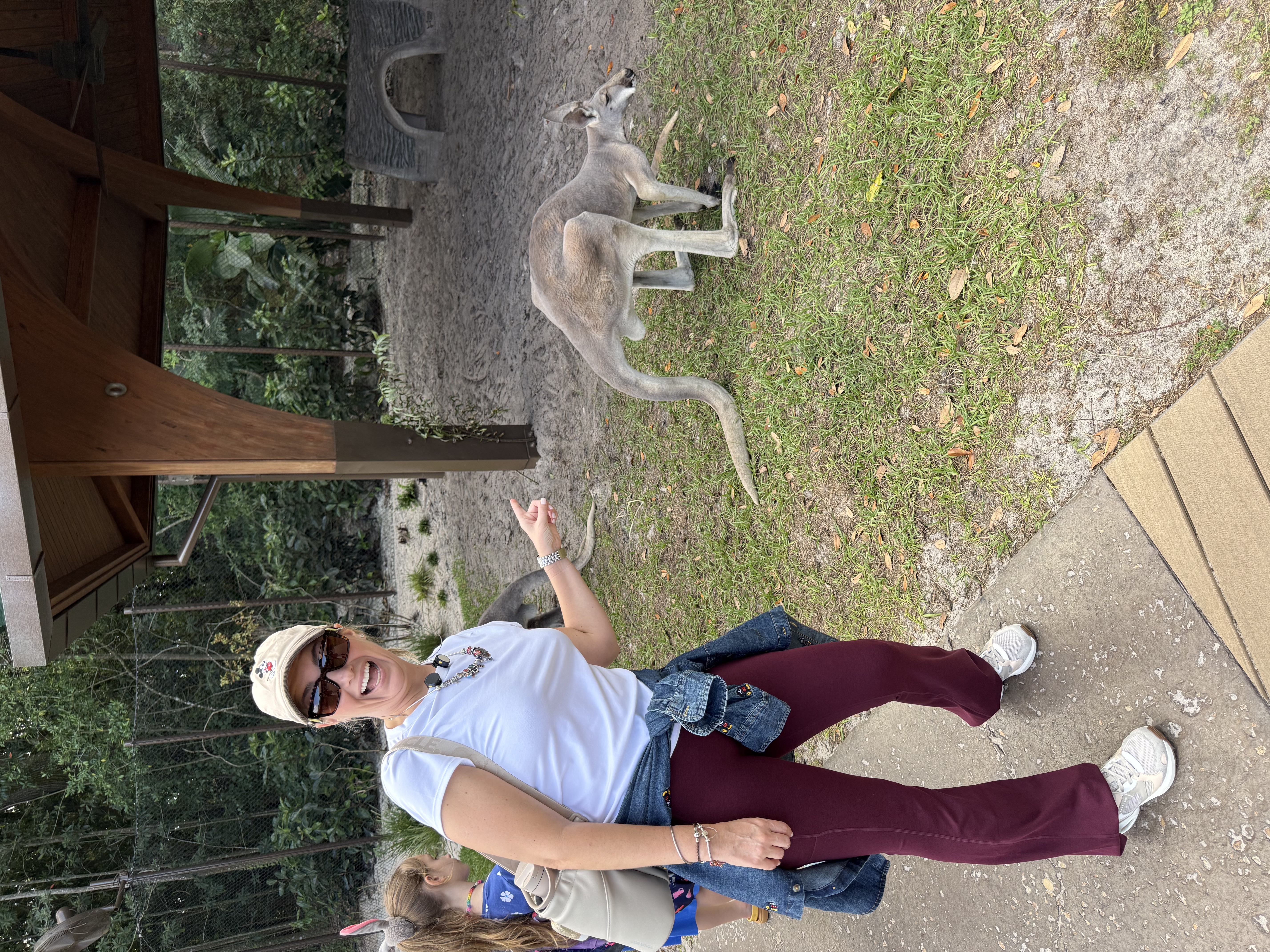 trilha animais animal kingdom