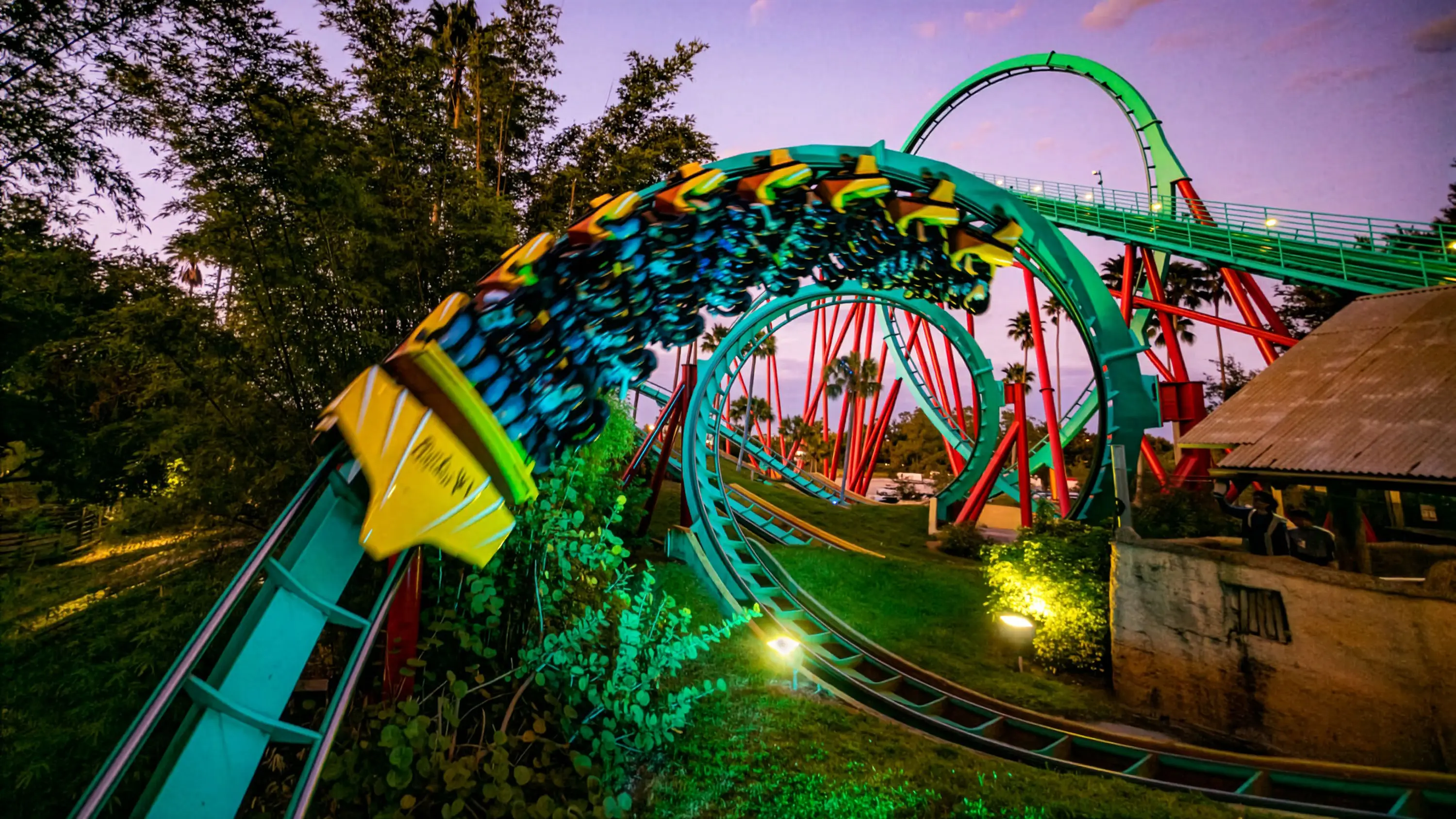 kumba busch gardens