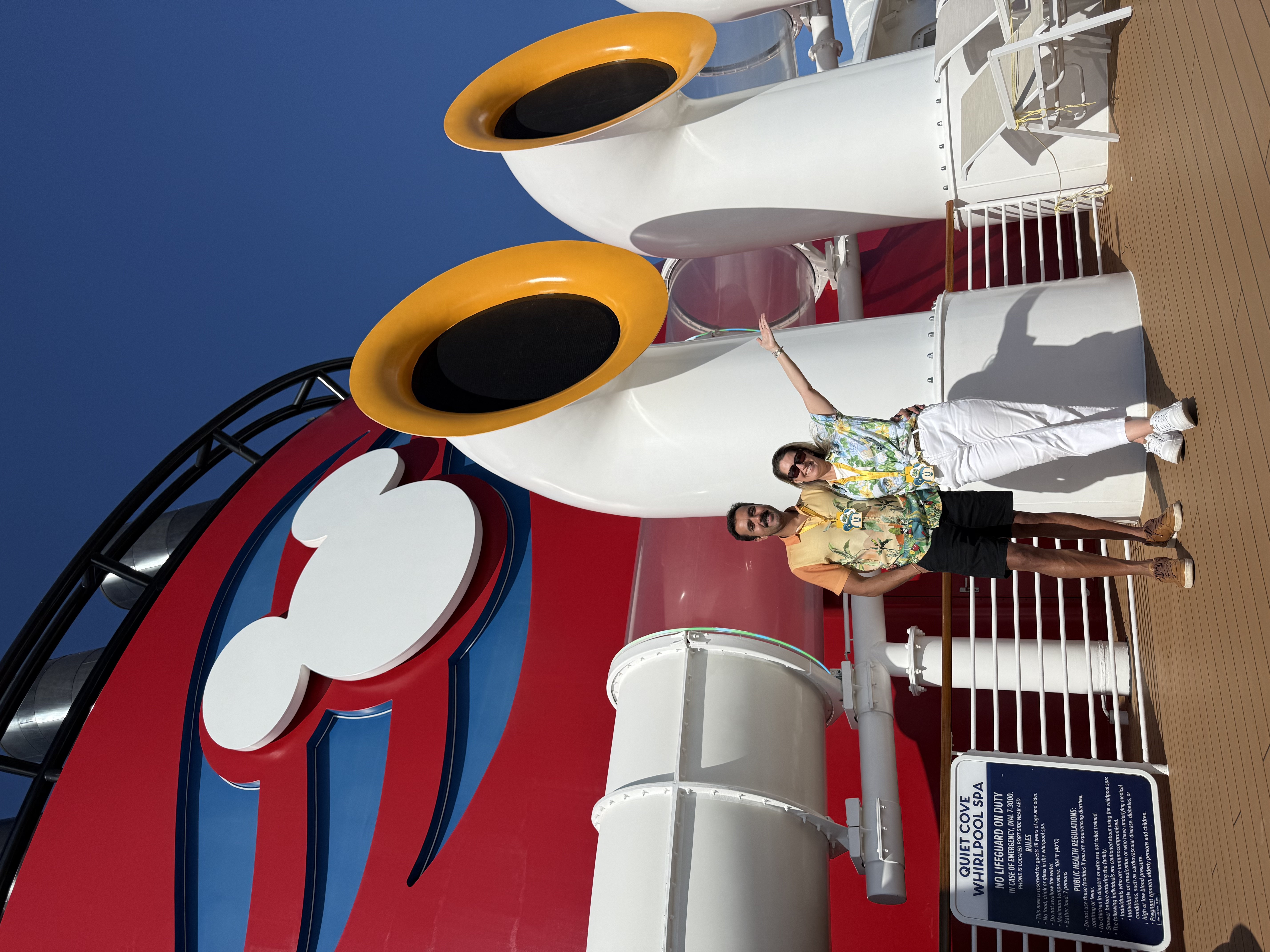 dicas cruzeiro disney