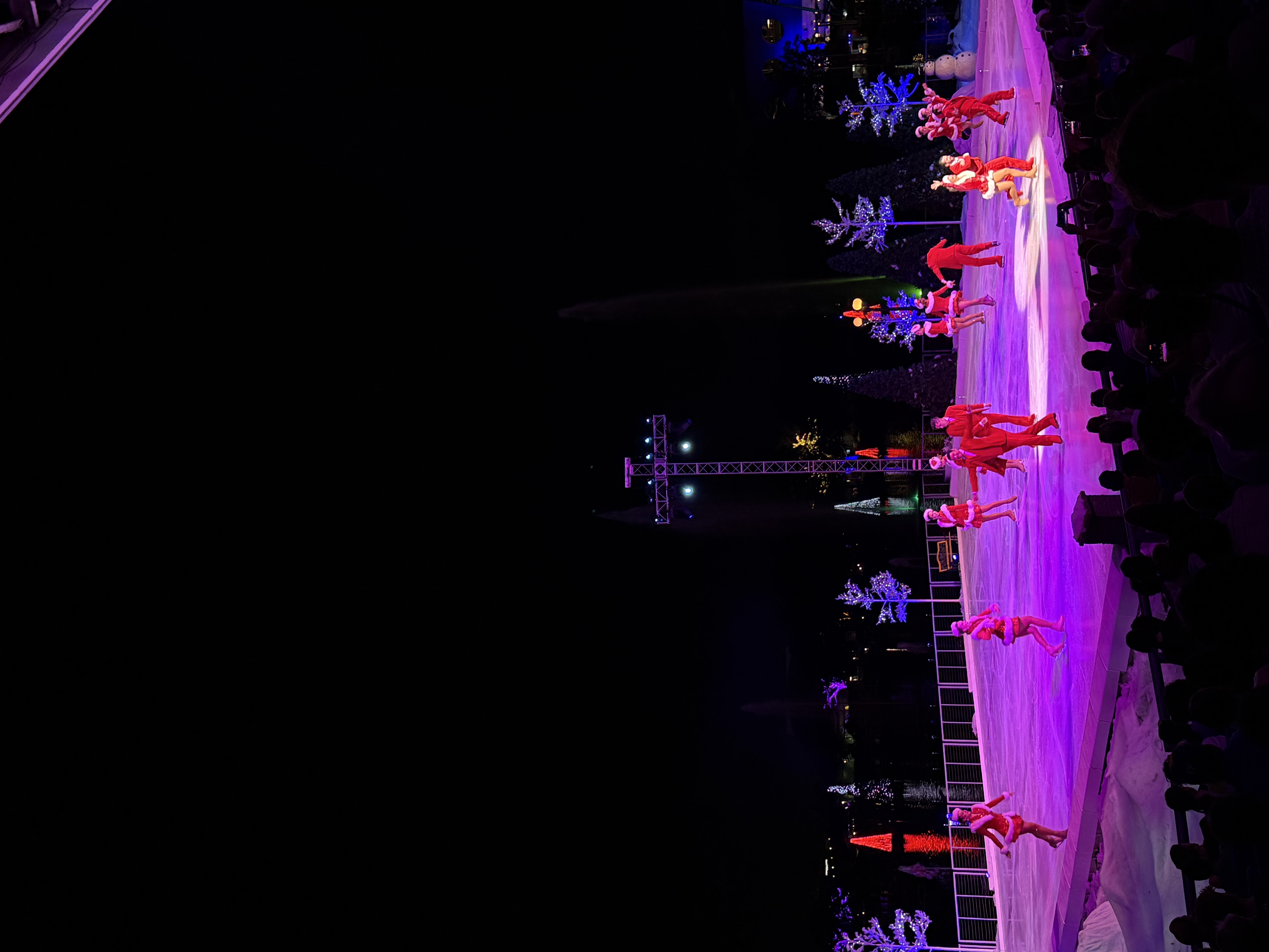 patinacao no gelo sea world