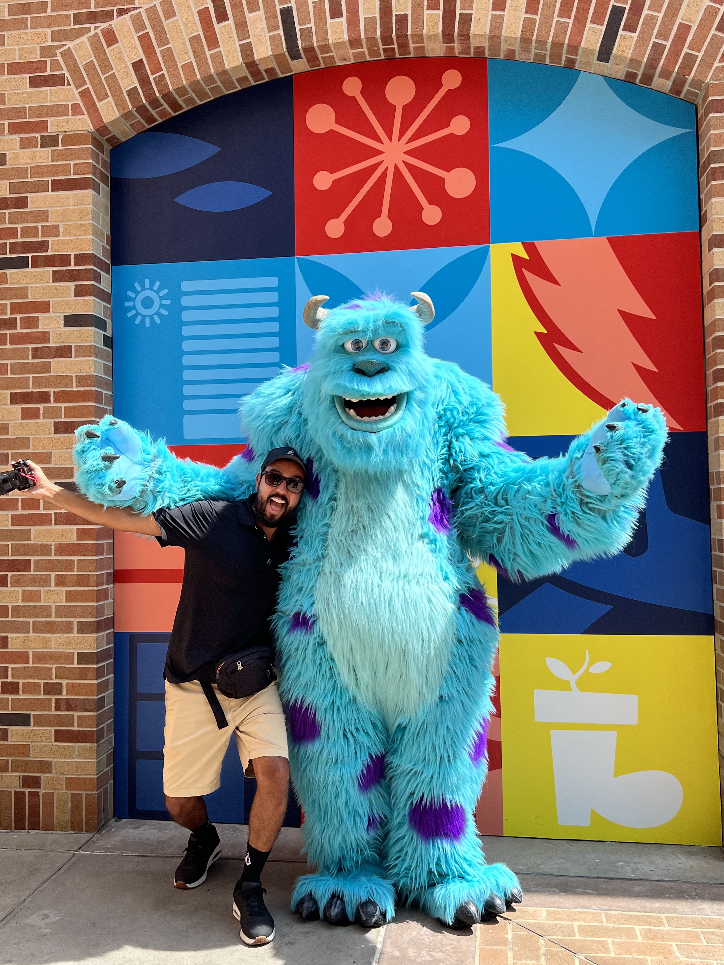 singel pass hollywood studios