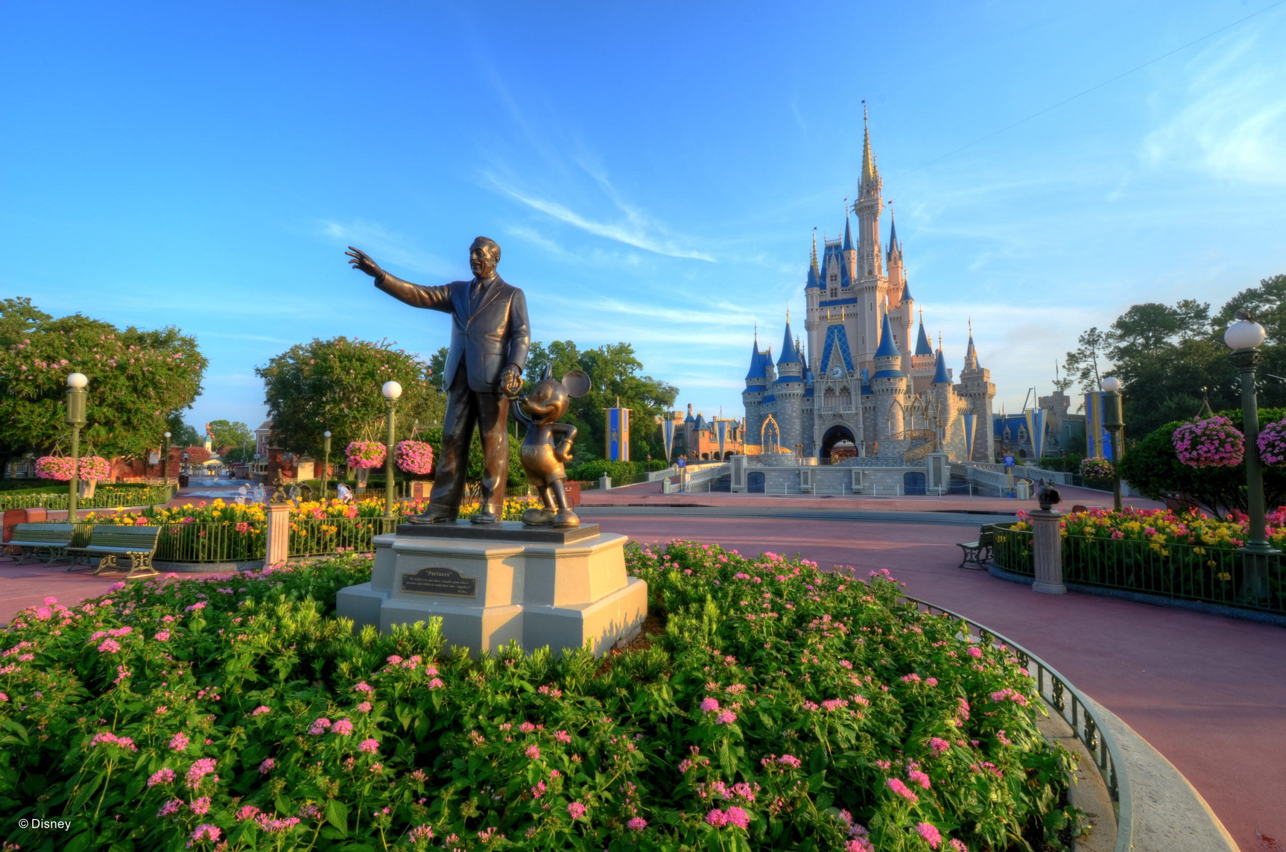 magic kingdom