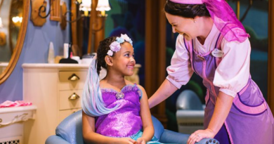 bibbidi bobbidi boutique rumo a orlando