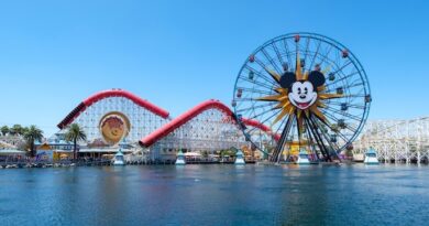 ingressos disney california