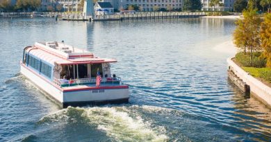 Friendship Boats Disney