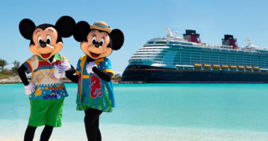 disney cruise line