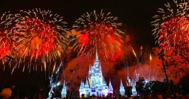 Horário dos pafques Disney não serão estendidos para o Reveillon