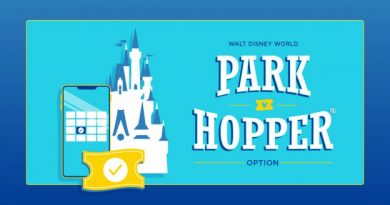 Disney retorna com Park Hopper a partir de janeiro de 2021