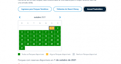 Disney Park Pass esgotado para portadores de passe anual