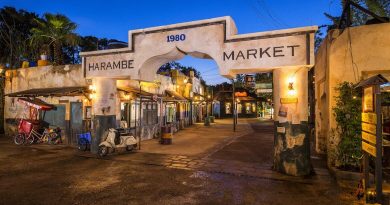 harambe market disney