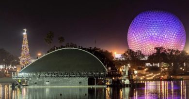 novo show noturno epcot