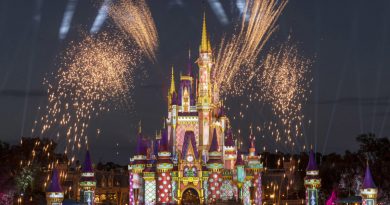 Fogos de Artifício no Magic Kingdom