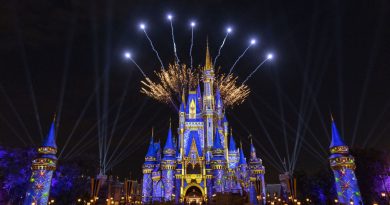 Fogos de Artifício no Magic Kingdom