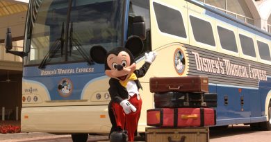 Disney's Magical Express encerra suas atividades em 2022