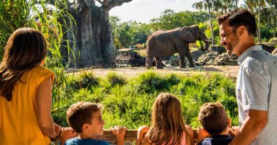 tours-bastidores-disney-02