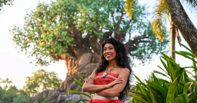 encontro personagens disney moana