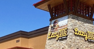 lazy dog restaurant