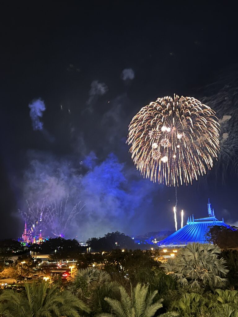 fogos de fora do parque disney