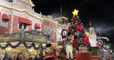 festa natal disney