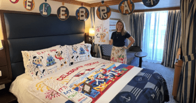 Deluxe Oceanview with Verandah – Cabine no Navios Disney