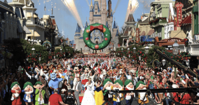 gravacao especial natal magic kingdom