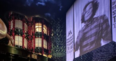 Harry Potter and the Battle at the Ministry