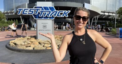 melhores atracoes epcot