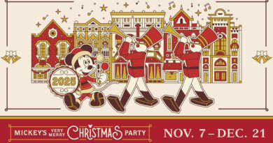 festa natal Magic Kingdom