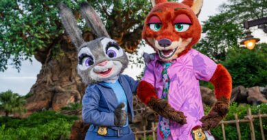 zootopia animal kingdom