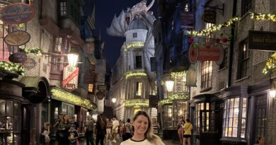 natal harry potter universal orlando