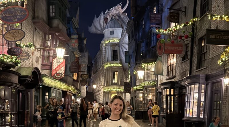 natal harry potter universal orlando
